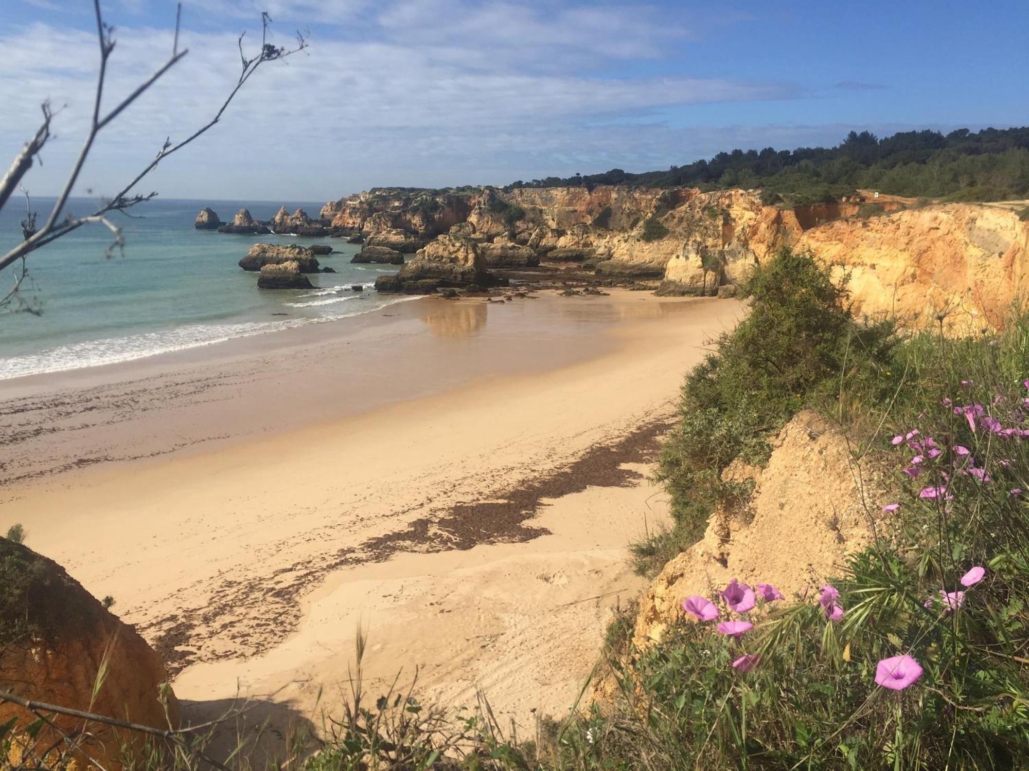 Casa Tres Palmeiras Portimao Bagian luar foto